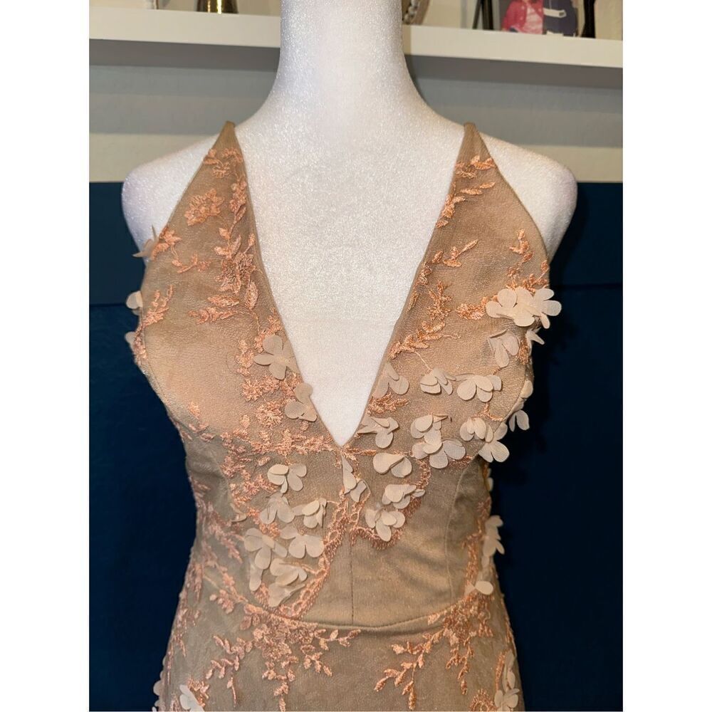Dress the Population Floral Embroidered Maxi Dress in Blush - Picture 7 of 11